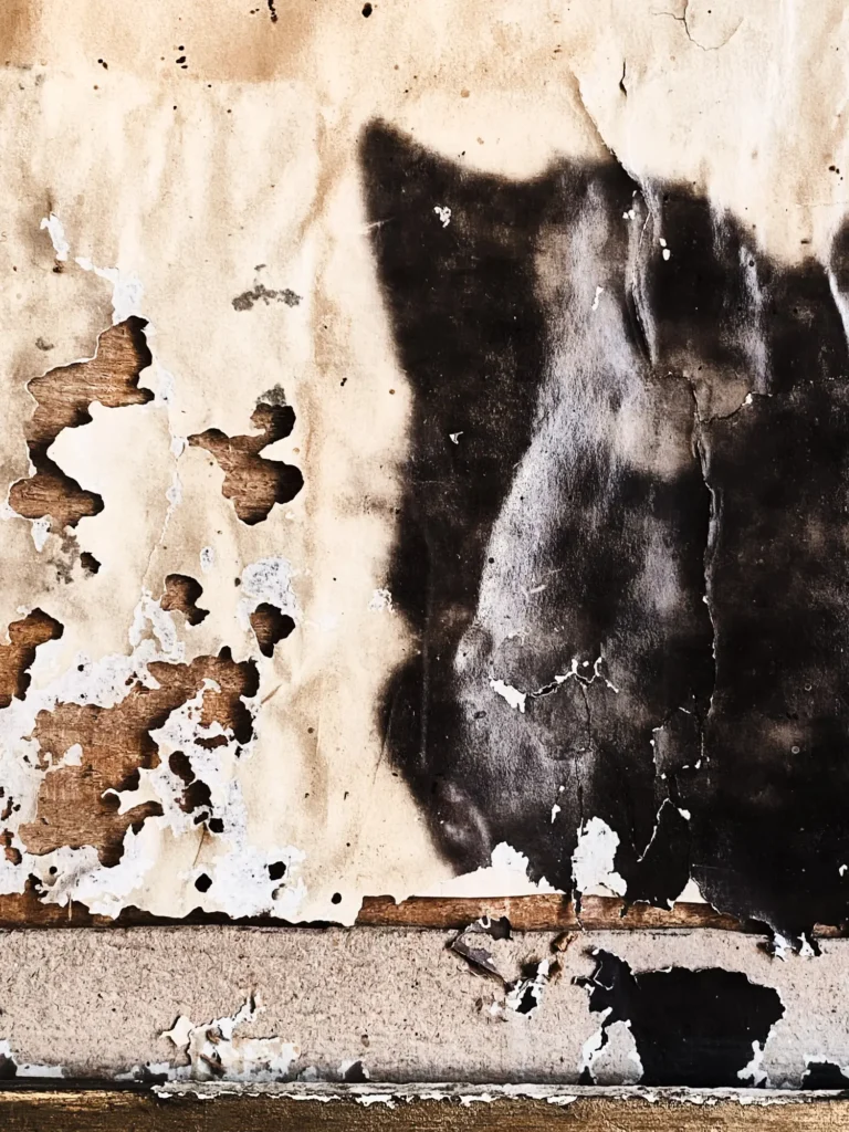 Rechteckiges Stück verblasstem Papier mit schwarzer Fleckformation, bräunliche Ränder und starker Struktur, Holzsplitter sichtbar.