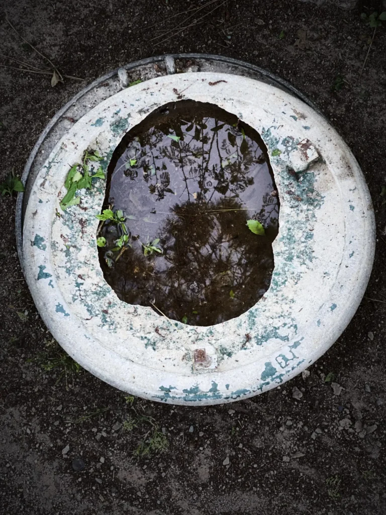 Runder, verwitterter Betonring mit stehendem Wasser, in dem sich Äste und Blätter spiegeln
