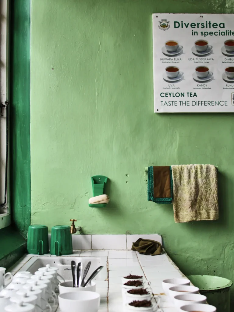 Verkostungsstation für Ceylon-Tee mit weißen Tassen, Teeblättern und Infotafel an grüner Wand.