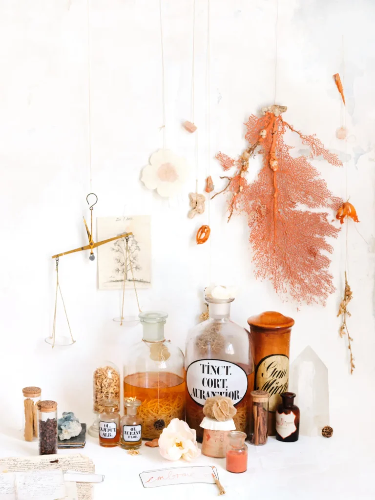 Helles Stillleben mit historischen Apothekerflaschen, getrockneten Pflanzen, einer goldenen Waage und einem orangefarbenen Meeresfächer vor weißem Hintergrund.