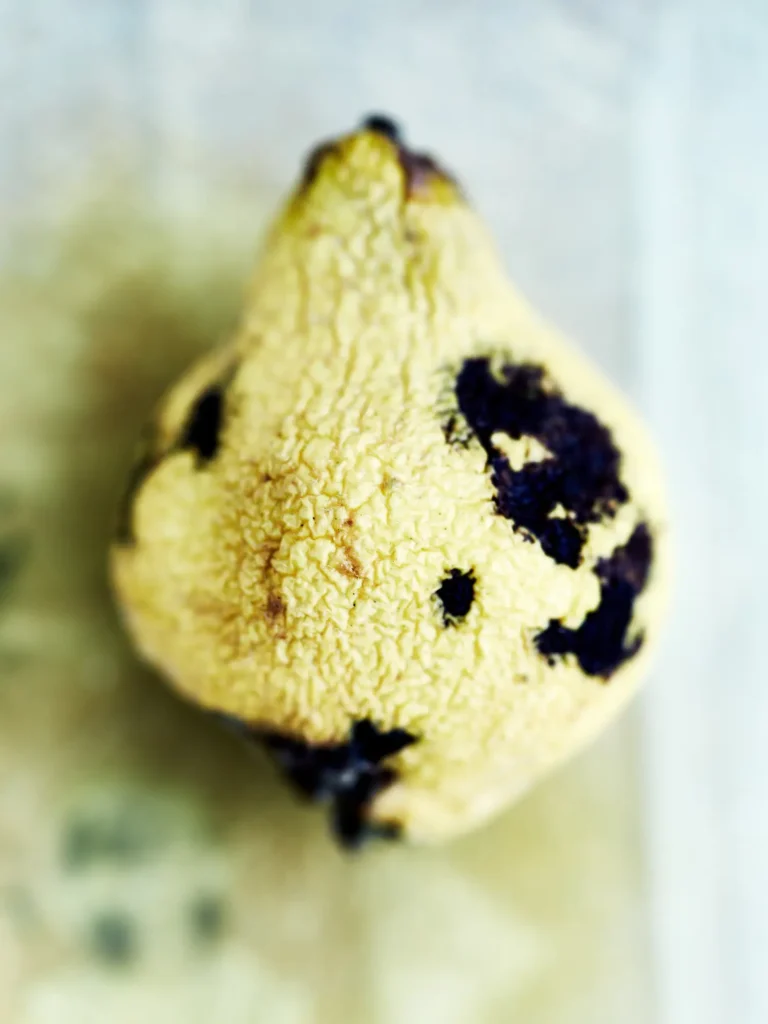 Extreme Nahaufnahme einer schrumpeligen gelben Frucht mit markanten dunklen Flecken auf der strukturierten Schale.