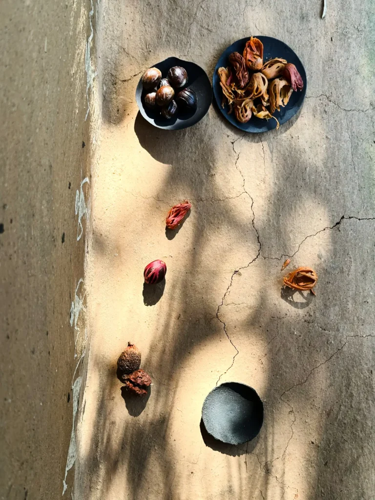 Detailaufnahme einer hellen Oberfläche mit dunklen Samenkapseln und natürlichen Einschlüssen.
